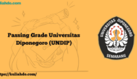 Passing Grade Diponegoro (UNDIP)