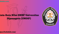 Rata-Rata Nilai SNBP Universitas Diponegoro (UNDIP)