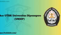 Skor UTBK Universitas Diponegoro